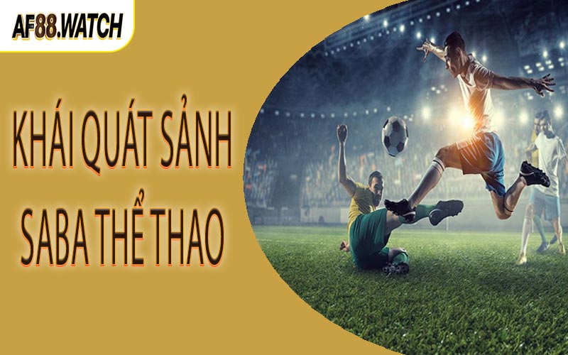 Khái quát sảnh Saba thể thao
