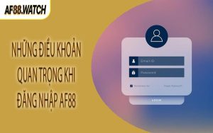 Những điều khoản quan trọng khi đăng nhập AF88
