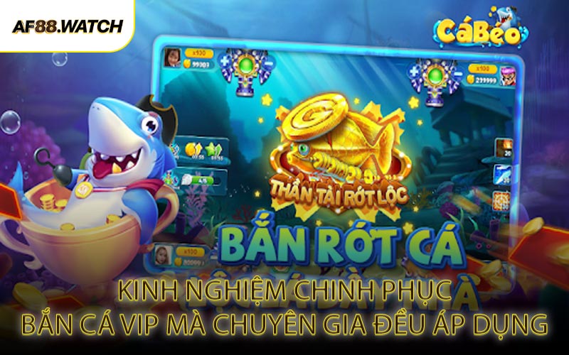 Kinh Nghiệm Chinh Phục Bắn Cá VIP Mà Chuyên Gia Đều Áp Dụng