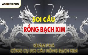 Khám Phá Công Cụ Soi Cầu Rồng Bạch Kim