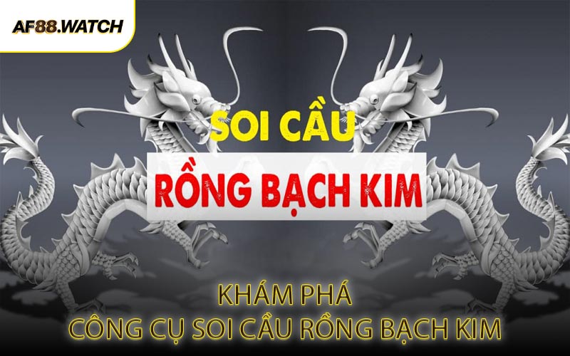 Khám Phá Công Cụ Soi Cầu Rồng Bạch Kim